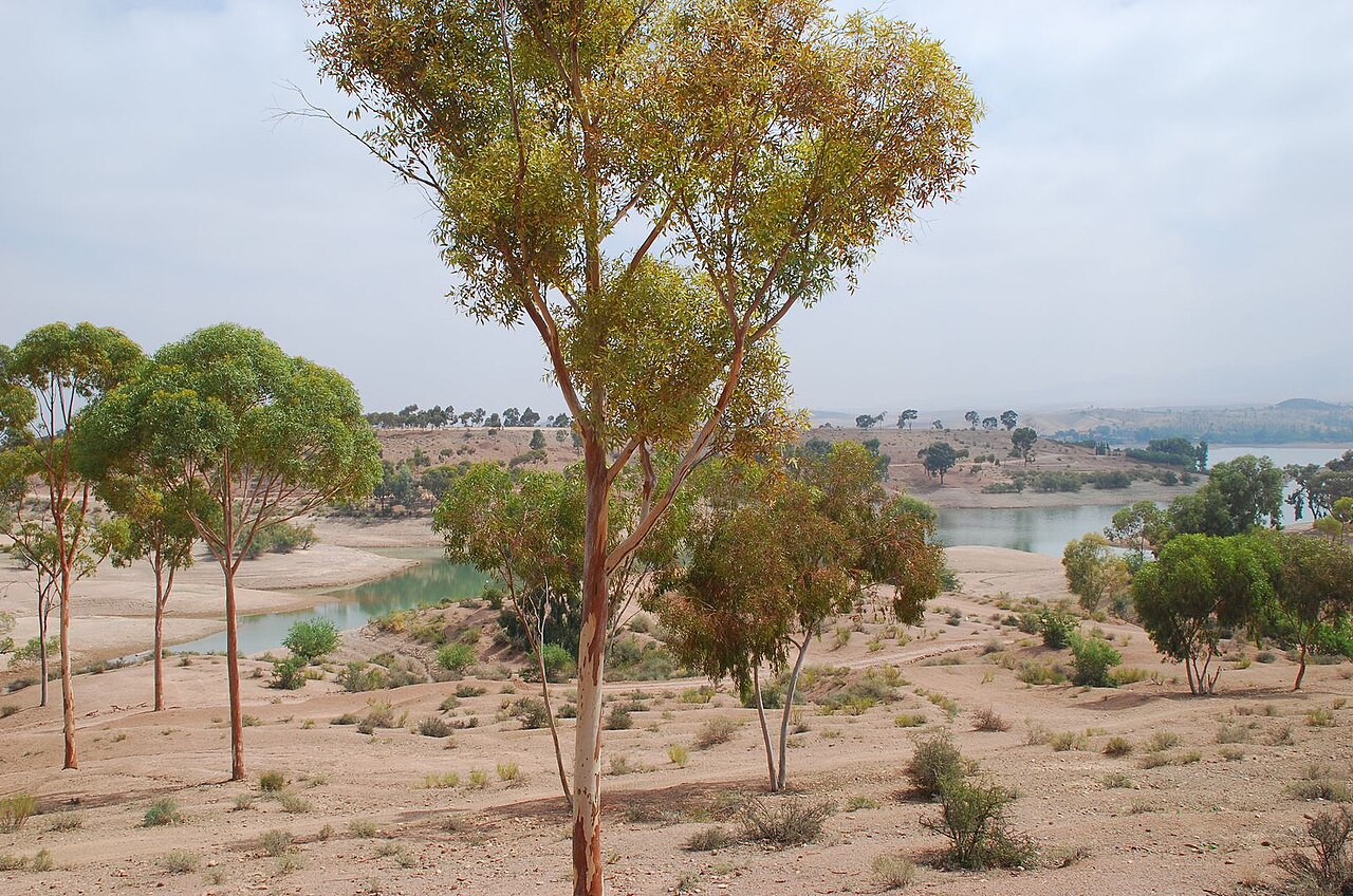 Lac Lalla Takerkoust — eau turquoise de l'Atlas
